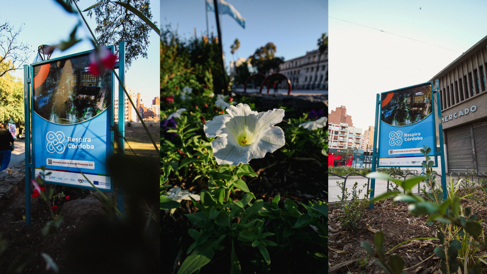 La Municipalidad de Córdoba finaliza la ejecución del proyecto Respira Córdoba